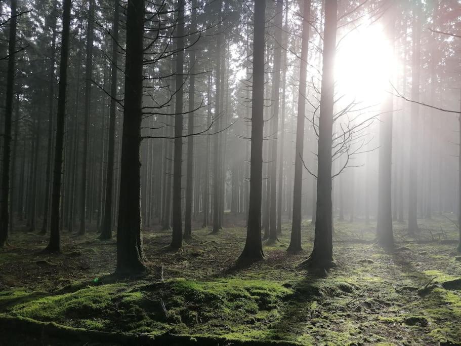Le Haut' Mont Manhay ภายนอก รูปภาพ